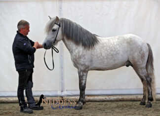 Gebäude FIZO Rundreise auf Lütt Beek / Tremsbüttel