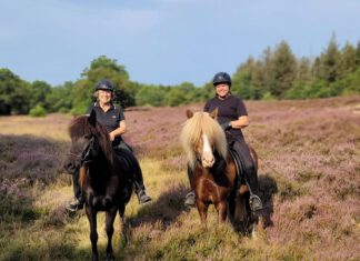 Einladung zum Heideblütenritt 10.08. 2025