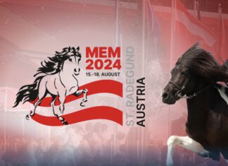 Viel Erfolg auf der MEM