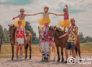 Sunshine Reggae auf Kranichtal /Lehmrade