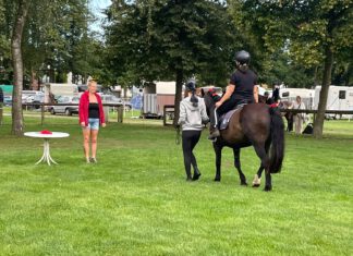 Islandpferde beim Breitensportturnier Bad Segeberg
