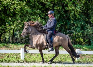 Heisser Sport im hohen Norden