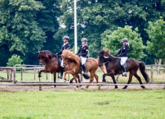 Update Turnier-Fotografin