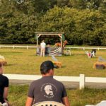 IMG_0419