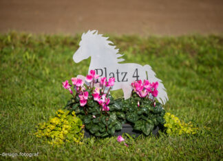 Zeitplan Sportmeisterschaft aktualisiert