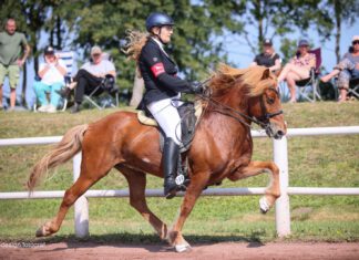 Norddeutsche Meisterschaften in Wolfsburg