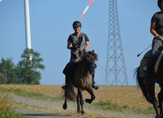 Über 1200km quer durch Deutschland