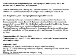 Junghengst-Materialprüfung in den Holstenhallen