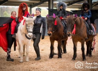 Halloween High-Five Kranichtal 2024