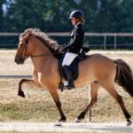 PHOTO-2024-11-12-22-08-03