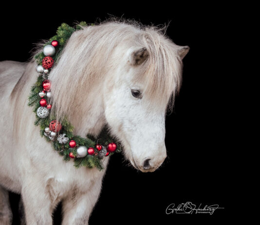 Erholsame Feiertage und guten Rutsch!