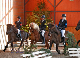 Erfolgreiche Nord-Reiter auf dem Winter-Special 24