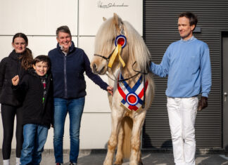 Körung Neumünster 2025