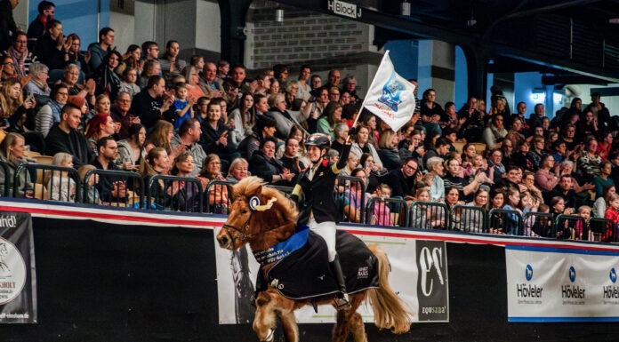 Holstenhallen 2026 : Körung, Züchterversammlung, Sport!