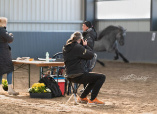 Jungpferdematerialprüfung Tremsbüttel