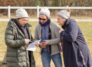 Termine und Kursprogramm online