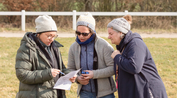 Termine und Kursprogramm online