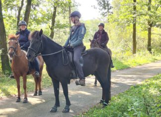 Einladung & Ausschreibung Laxnes-Distanz-Ritt 10.05. 2025 – No. #1