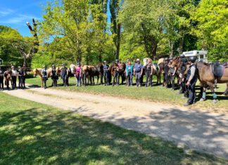 Nord reitet aus am 1.Mai