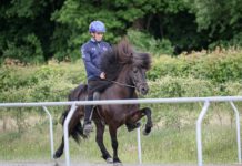 Zukunft Zucht 2026: Restplätze zu vergeben!