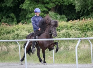 Zukunft Zucht 2026: Restplätze zu vergeben!