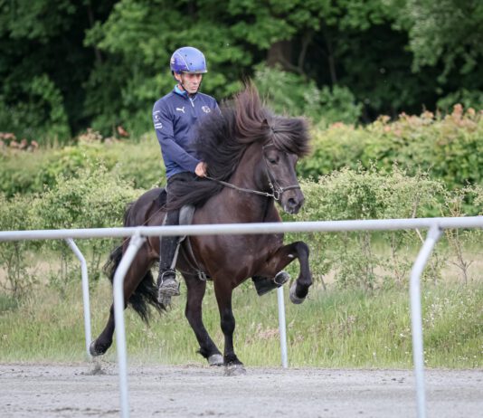 Zukunft Zucht 2026: Restplätze zu vergeben!