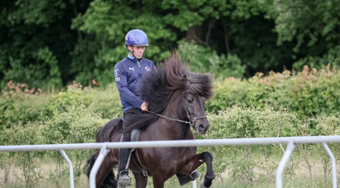 Zukunft Zucht 2026: Restplätze zu vergeben!