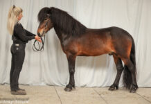 Gebäudereise Tremsbüttel – Nennungsschluß 6.4.!