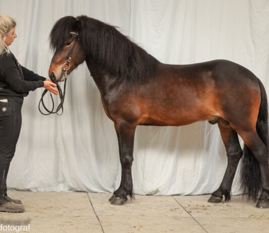 Gebäudereise Tremsbüttel – Nennungsschluß 6.4.!