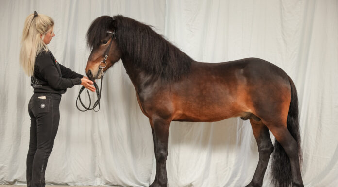 Gebäudereise Tremsbüttel – Nennungsschluß 6.4.!