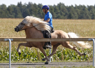 FIZO Ellringen: Neuer Zeitplan Donnerstag
