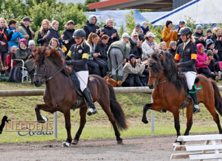 Kronshof Special – das Turnier für alle(s)