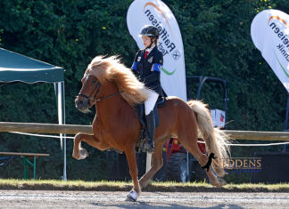 DJIM Finaltag – Meistertitel, Gold und Platzierungen