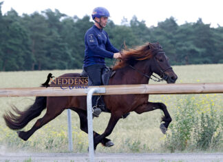 FIZO Ellringen Ergebnisse