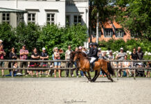 EYJA Awards für den IPZV Nord