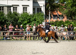 EYJA Awards für den IPZV Nord