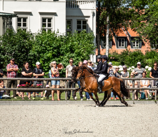 EYJA Awards für den IPZV Nord
