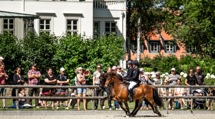 EYJA Awards für den IPZV Nord