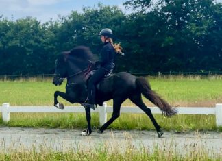 Spuni fährt nach Birmenstorf!