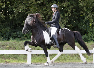 Josefin þorgeirsson – Galsi vom Maischeiderland