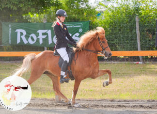 DIM Samstag: Töltpreis, Futurity und C-Finale