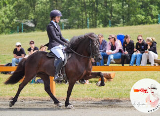 DIM Tag 2 – Fünfgangpreis und Passrennen Teil 1