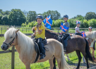 Das Jubiläum: Islandpferdefest voller Highlights und Freude