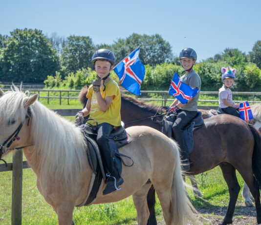 Das Jubiläum: Islandpferdefest voller Highlights und Freude