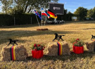 Ehrungen, Berufungen und Sleipnir Preise