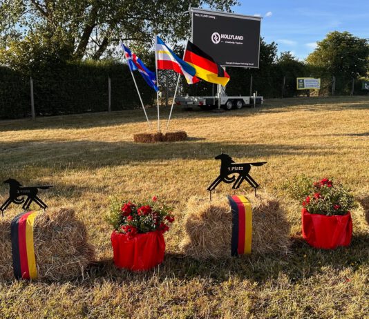 Ehrungen, Berufungen und Sleipnir Preise