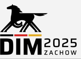 DIM 25 – viel Erfolg für unsere Reiter*innen!