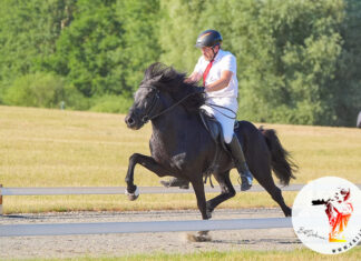 DIM 2025 – Der erste heiße Tag