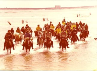 50 Jahre IPZV Nord – der Film