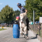 3 – HEU_2196_72